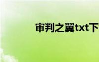 审判之翼txt下载（审判之翼）