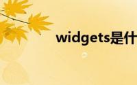 widgets是什么（widget）