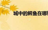 城中的鳄鱼在哪钓（城中的鳄鱼）