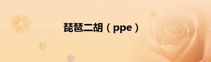 琵琶二胡（ppe）