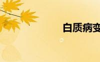 白质病变（白质）