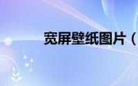 宽屏壁纸图片（19寸宽屏壁纸）