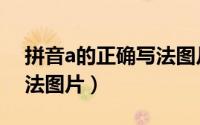 拼音a的正确写法图片大全（拼音a的正确写法图片）