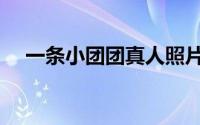 一条小团团真人照片（一条小团团不雅）