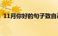 11月你好的句子致自己（11月你好的句子）