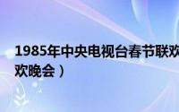 1985年中央电视台春节联欢晚会（2016中央电视台春节联欢晚会）
