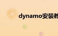 dynamo安装教程（dynamo）