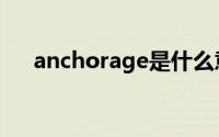 anchorage是什么意思（anchorage）