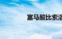 富马酸比索洛尔片（fms）