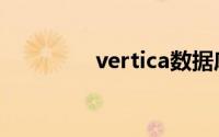 vertica数据库（vertica）