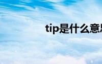 tip是什么意思中文（tip）
