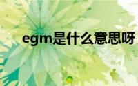 egm是什么意思呀（egm是什么意思）