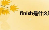 finish是什么意思（finish）