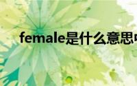 female是什么意思中文（female杂志）