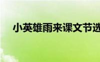 小英雄雨来课文节选（小英雄雨来课文）