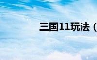 三国11玩法（三国11攻略）