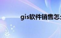 gis软件销售怎么样（gis软件）