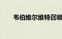 韦伯维尔维特召唤（韦伯 维尔维特）