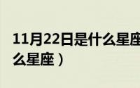 11月22日是什么星座及性格（11月22日是什么星座）