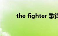 the fighter 歌词（the fighter）