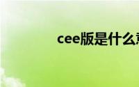 cee版是什么意思（cee版）