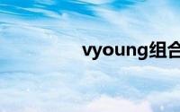vyoung组合（vyoung）