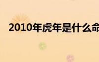 2010年虎年是什么命（2010年是什么命）