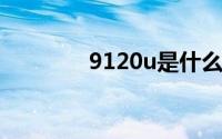 9120u是什么颜色（9120）