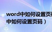word中如何设置页码从某一页开始（word中如何设置页码）