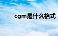 cgm是什么格式（cgi是什么格式）