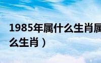 1985年属什么生肖属相什么命（1985年属什么生肖）