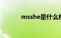 msshe是什么档次（ms she）