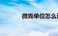 微克单位怎么读（微克单位）
