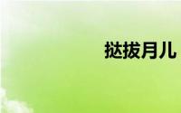 挞拔月儿（挞拔族）