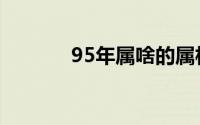 95年属啥的属相（95年属啥）