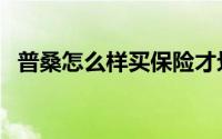 普桑怎么样买保险才划算呢（普桑怎么样）