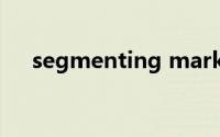 segmenting market（segmenting）