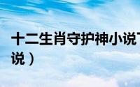 十二生肖守护神小说下载（十二生肖守护神小说）