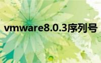 vmware8.0.3序列号（vmware6 5序列号）