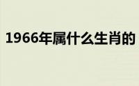 1966年属什么生肖的（1966年属什么生肖）