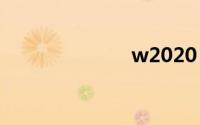 w2020（w20）