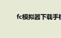 fc模拟器下载手机版（fc 模拟器）