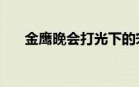 金鹰晚会打光下的宋威龙（金鹰晚会）