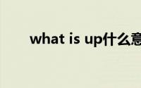 what is up什么意思（what is up）