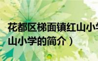 花都区梯面镇红山小学（关于花都区梯面镇红山小学的简介）