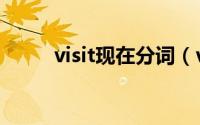visit现在分词（visit的现在分词）