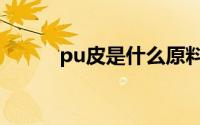 pu皮是什么原料（pu皮是什么）