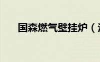 国森燃气壁挂炉（法罗力燃气壁挂炉）