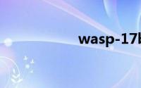 wasp-17b（wasp）