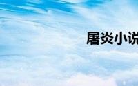 屠炎小说（屠炎）
